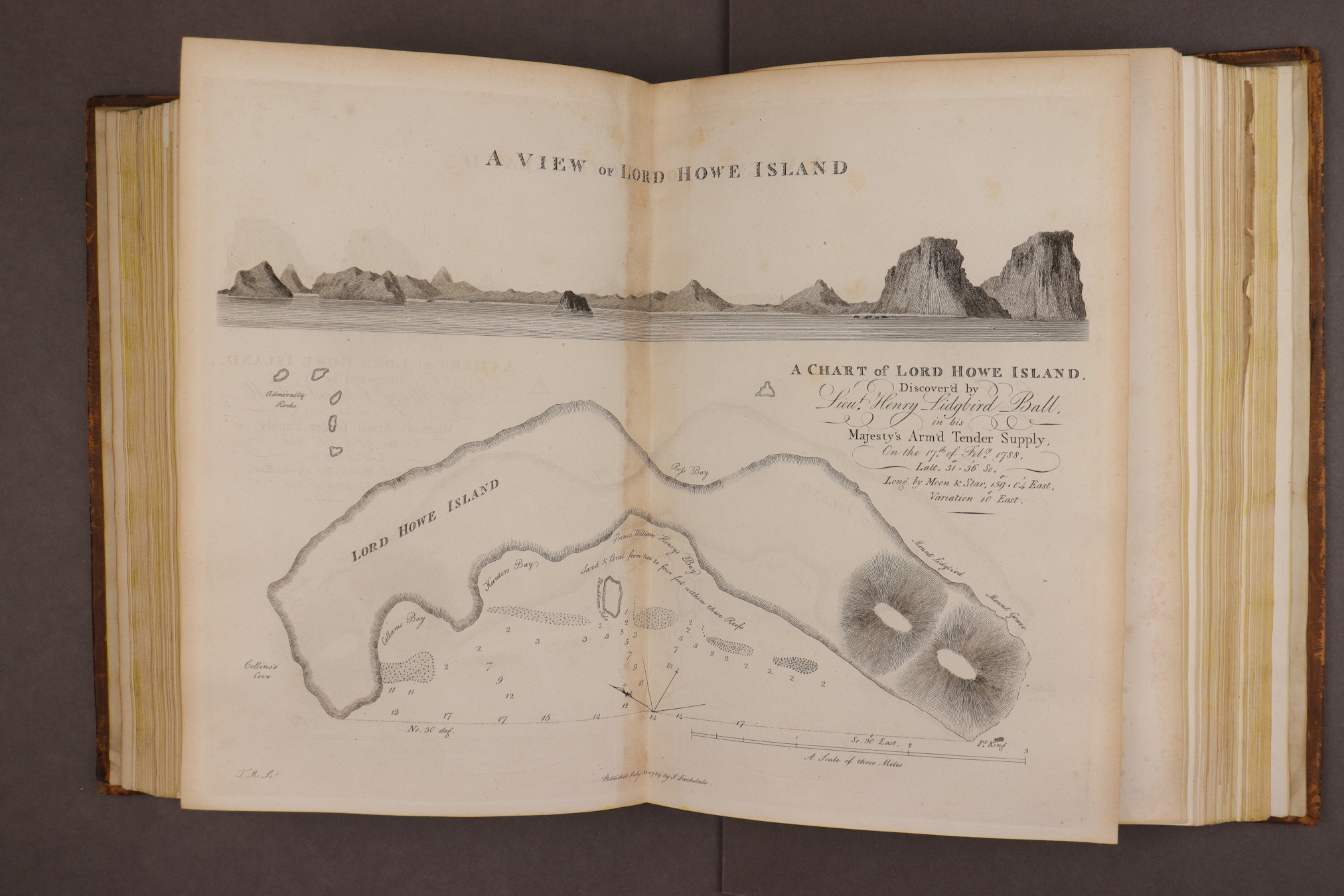 Plate 31